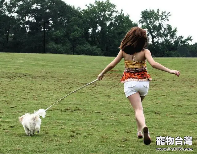 小區遛狗你應該注意哪些問題（共4張圖片）-寵物台灣