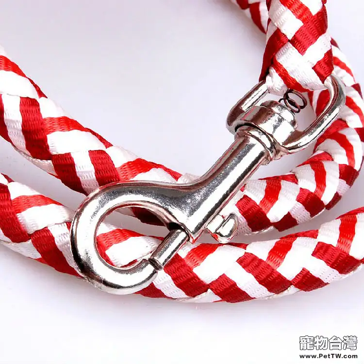 小區遛狗你應該注意哪些問題