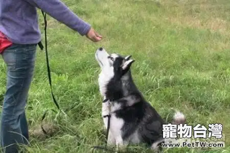 怎麼訓練狗狗不吃別人給的東西