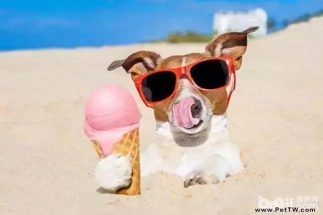 夏季給狗狗消暑的方法都有哪些？
