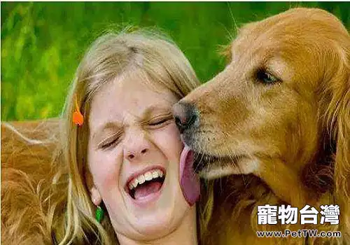 導致狗狗口臭的原因都有哪些？