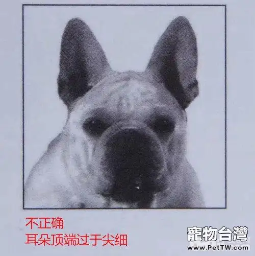 網上選購法斗需要注意的問題都有哪些？