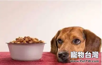 狗狗挑食可以通過哪些手段來糾正？