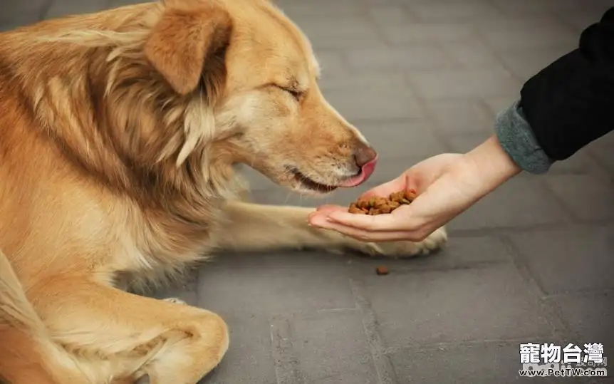 狗狗拒食訓練的方法都有哪些？