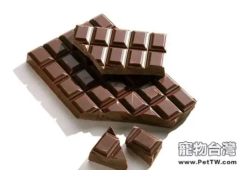 以下這幾種食物千萬不能餵食狗狗