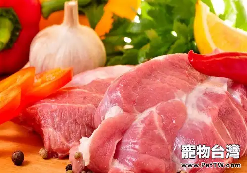 以下這幾種食物千萬不能餵食狗狗