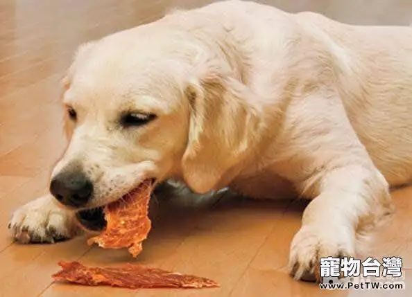 訓練狗狗養成良好飲食習慣的方法有哪些？
