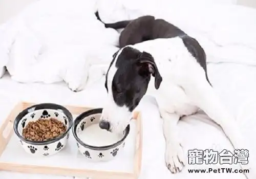 為什麼不能用牛奶餵養幼犬？