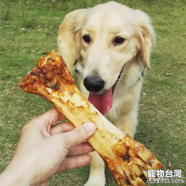 養狗前需要準備的物品都有哪些？