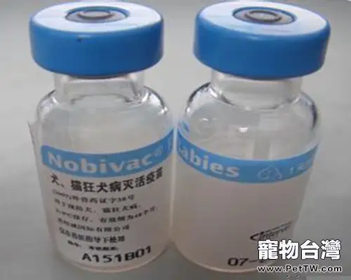 為狗狗打疫苗的錯誤觀念(1圖)-寵物台灣