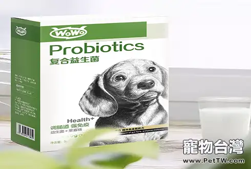 狗狗腸胃不好怎麼調理，補充寵物益生菌拒絕「玻璃胃」