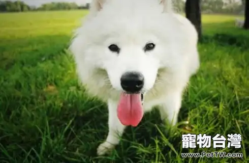 timg (30).webp