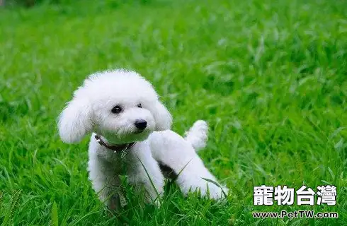 timg (2).webp