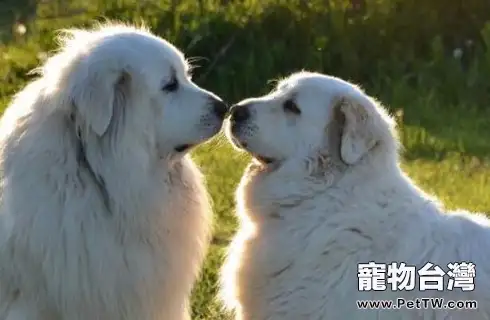 QQ截圖20181227151547.webp