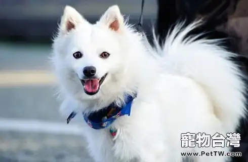 u=2144756690,647347232&fm=26&gp=0.webp u=2144756690,647347232&fm=26&gp=0.webp