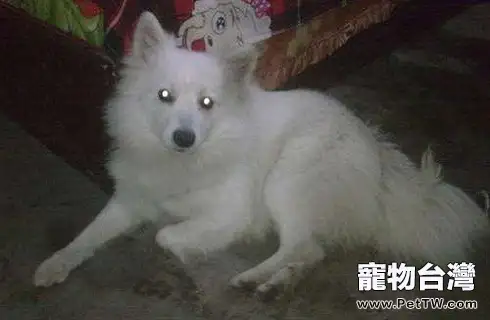 timg (3).webp timg (3).webp