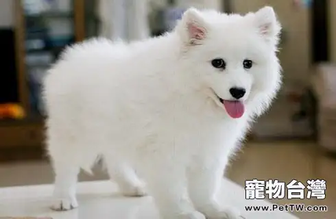 u=2205393471,2973915037&fm=26&gp=0.webp u=2205393471,2973915037&fm=26&gp=0.webp