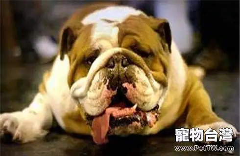 timg (70).webp