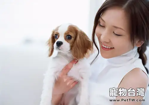 狗狗不是玩具，日常抱狗狗的注意事項（共2張圖片）-寵物台灣