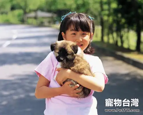 狗狗不是玩具,日常抱狗狗的注意事項 狗狗不是玩具,日常抱狗狗的注意事項