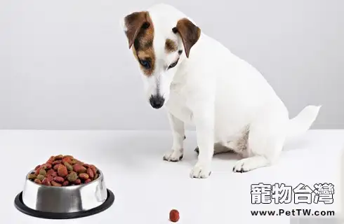 狗狗每天需要吃多少糧食？