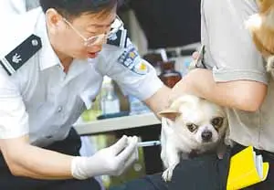 有關犬疫苗你知道多少