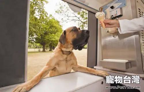 夏季給狗吃冷飲不是愛而是害