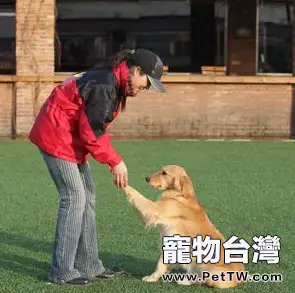 狗狗為什麼那麼容易就學會握手