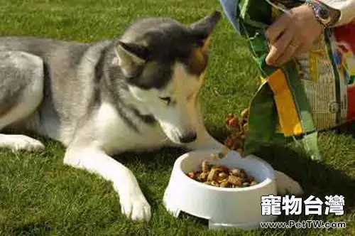為什麼狗狗吃天然糧比較好
