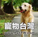 哪些犬適合做導盲犬