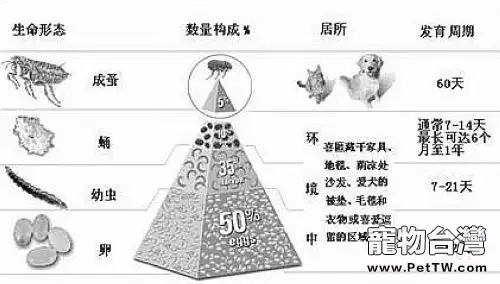 一例幼犬嚴重絛蟲感染的病例分析