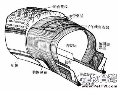 狗狗尿液會導致爆胎是真的嗎