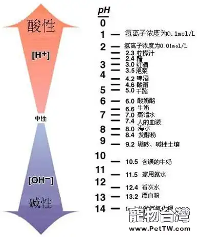 狗狗尿液會導致爆胎是真的嗎