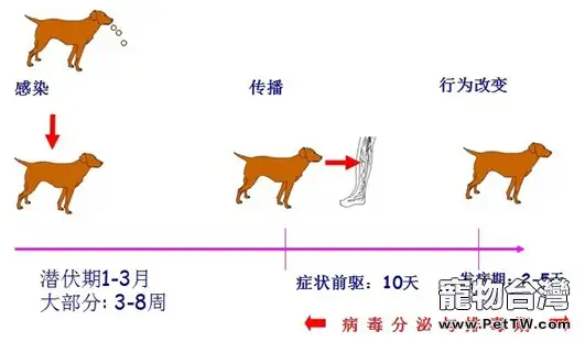 狂犬病防治