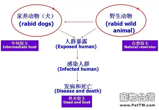 狂犬病防治