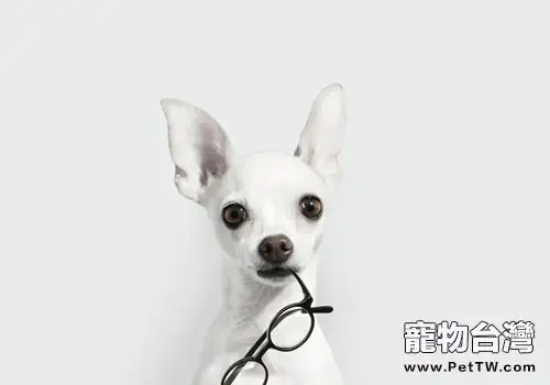 狂犬病防治