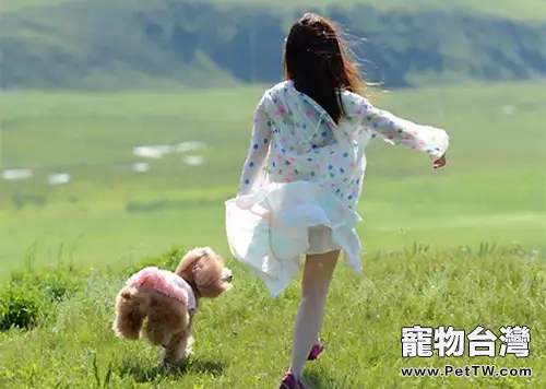 如何訓練狗狗不亂跑(1圖)-寵物台灣