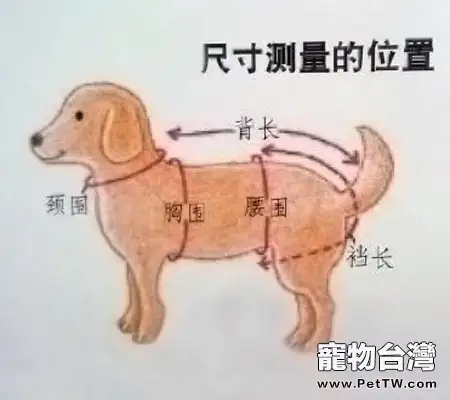 狗狗衣服怎麼做？