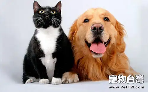 化石研究貓狗系為同祖先