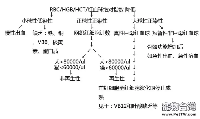 狗狗貧血知多少