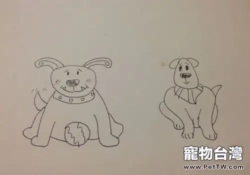 哪個狗的肘關節更好？---犬肘關節發育不良