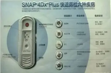 一例蜱蟲叮咬的病例分析