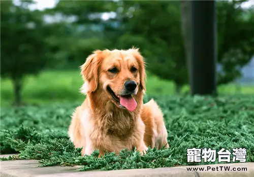 一例蜱蟲叮咬的病例分析