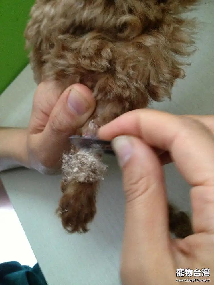 常見皮膚病檢查方法 常見皮膚病檢查方法