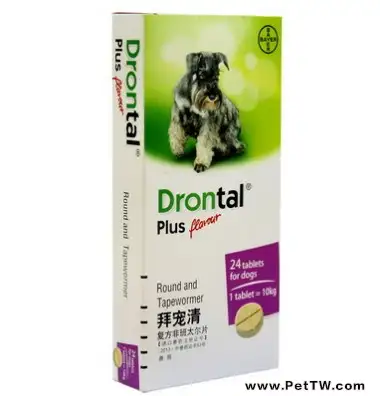 什麼原因會導致博美乾嘔