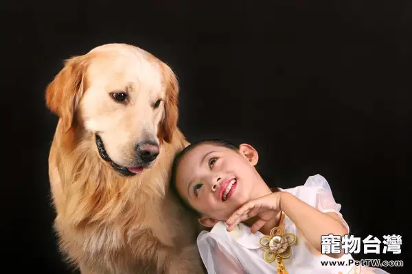 溫順狗狗排行榜推薦