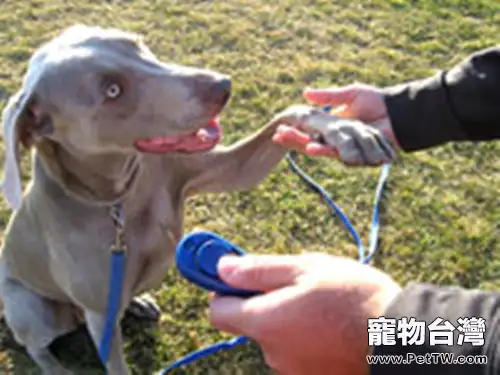 狗狗的響片訓練法(1圖)-寵物台灣