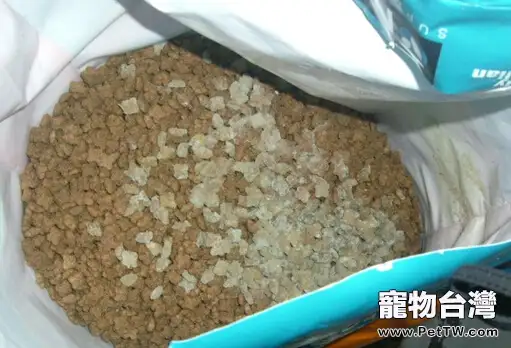 狗狗的夏季養護要點