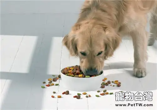 狗狗吃狗糧有哪些好處