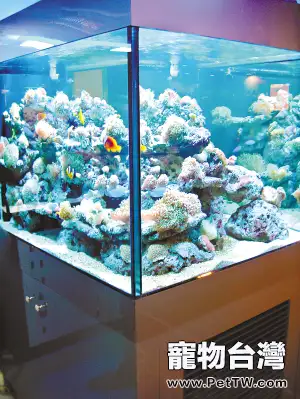 硝酸鹽去除器的工作原理(1圖)-寵物台灣
